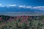 Jackson Hole