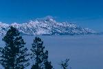 Winter Fog in Tetons
