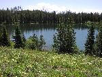 Bearpaw Lake