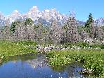 Schwabachers Landing