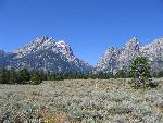 Cathedral Group and Cascade Canyon