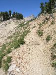 Paintbrush Divide trail