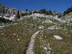 Paintbrush Divide trail