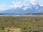 Willow Flats