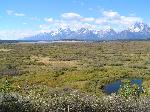 Willow Flats