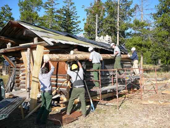 preservation carpenters lifting a new log into place on a historic White Grass Ranch cabin.