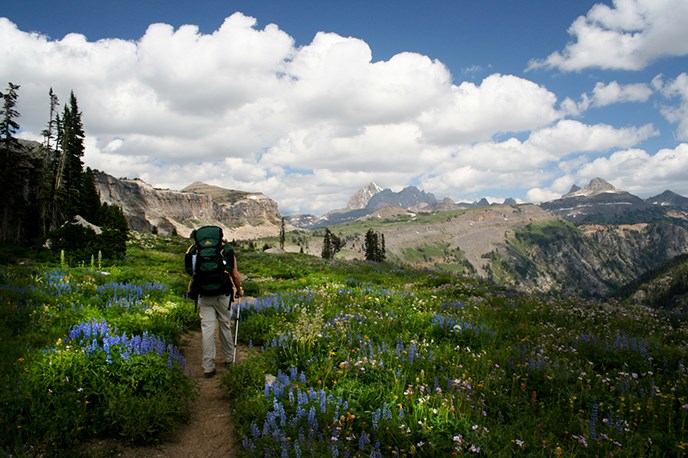 Backpacker on Death Canyon Shelf