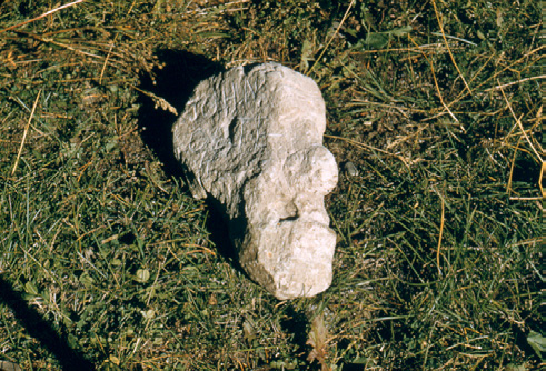 Colter Stone
