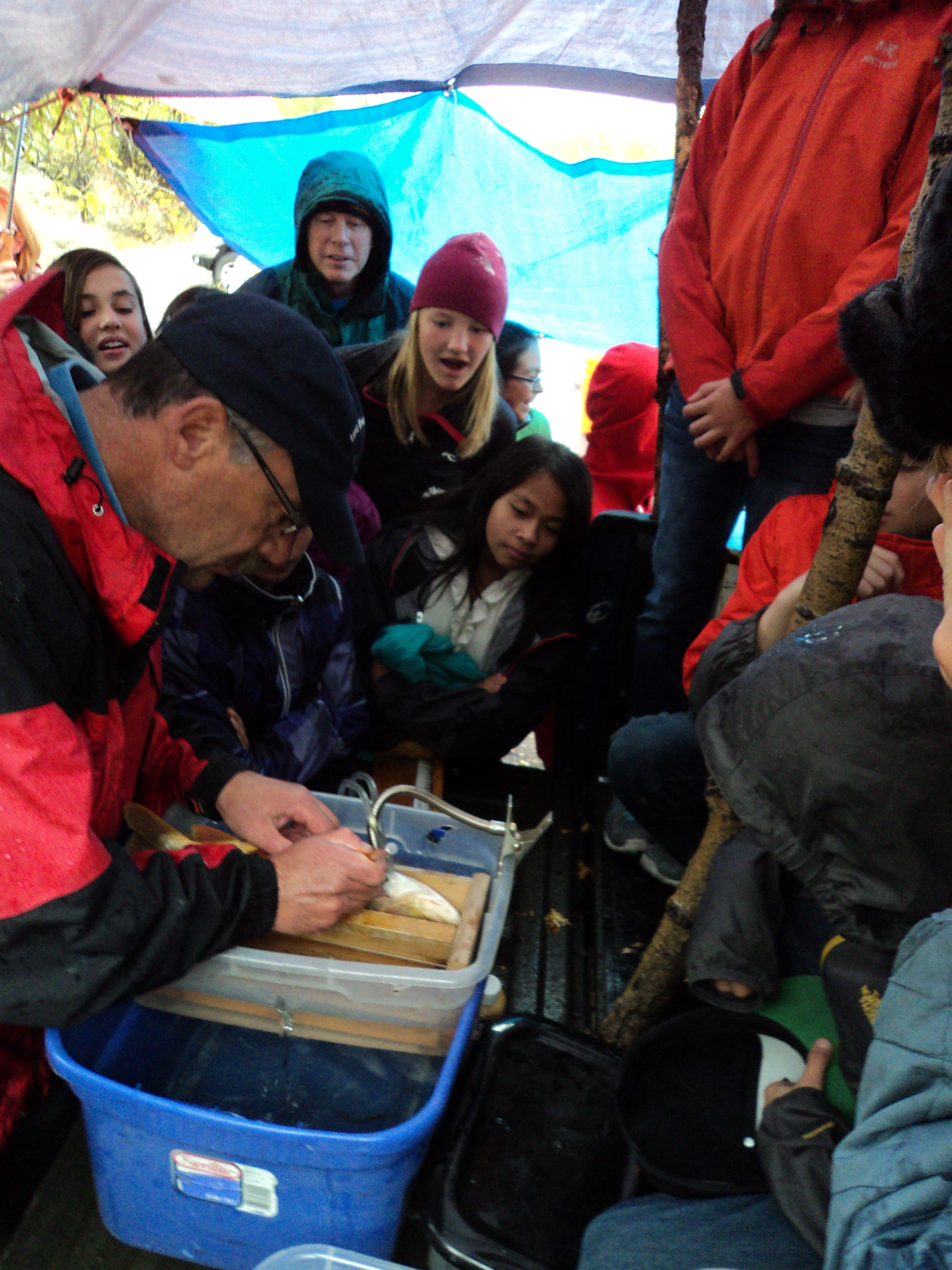Students look on with amazement as a biologist implants a radio tracking device into a captured trout.