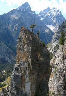 Baxter's Pinnacle