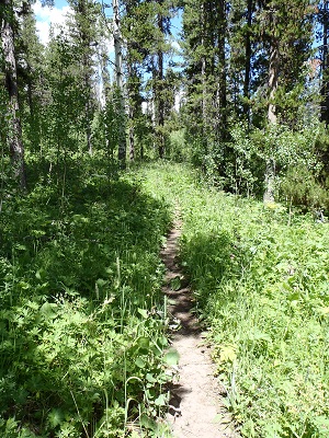 Glade Creek Trail (Photo Credit: K. Greenwood, NPS)