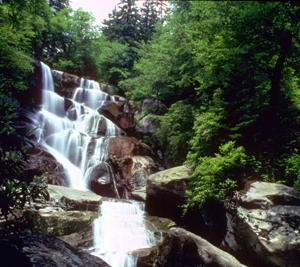 Ramsey Cascades Ramsey Cascades