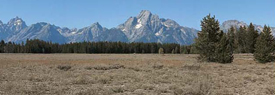 View of the Teton Range from near Pilgrim Creek