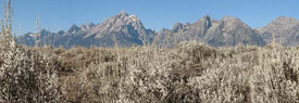 View of Cathedral Group from the sagebrush flats on a sunny bluebird day.