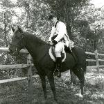 Continental Dragoon
