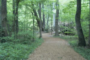 Battlefield Walking Trails