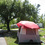 Tent on grassy area at Davis Bayou Campground