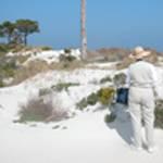 Visitor on Horn Island