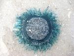 Blue Button