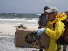 Gennet is rescued