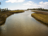 Davis Bayou Webcam Davis Bayou Webcam
