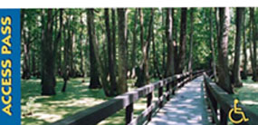 Access Pass with wheelchair accessible boardwalk, green grass and sunlight streaming through tall trees.