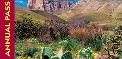 Annual Pass with blue sky, mountains, wildflowers and cactus.