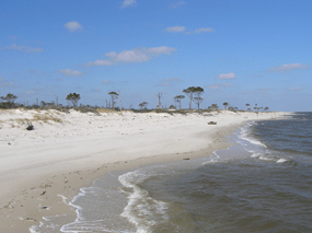 Horn Island with a few sparse trees, sandy beach, and waves rolling in.  