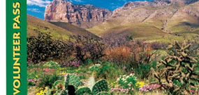 Volunteer Pass with blue sky, mountains, wildflowers and cactus.