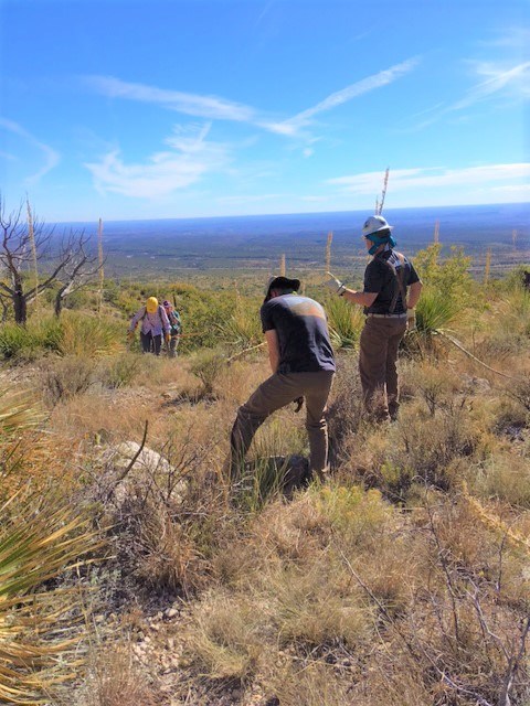Volunteers with the  Texas Trail Tamers work on maintaining the Bear Canyon trail, the steepest trail in Guadalupe Mountains.
