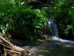 Smith Spring