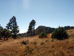 Frijole Ridge