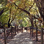 Fall colors at Smith Spring