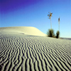 Salt Basin Dunes