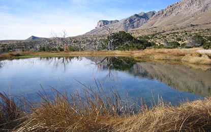 Manzanita Spring