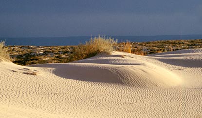 Salt Basin Dunes