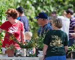 Hill & Hollow Master Gardeners
