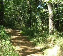 Carver Nature Trail