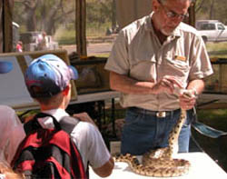 Park volunteer handles a snake
