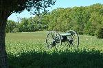 Cannon at the Murphy Farm
