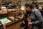 Dry Goods Store