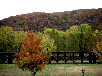 fall color on 11-3-08