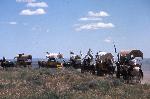 Wagon Train