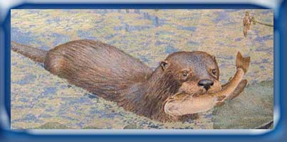 Otter with a catfish