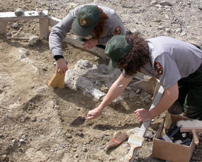 Park Rangers work at fossil site.