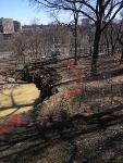 The park setting at the Grange's new location