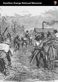 Illustration of enslaved people performing manual labor. Header reads Hamilton Grange National Memorial