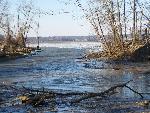 Broad Creek and Want Water Canal