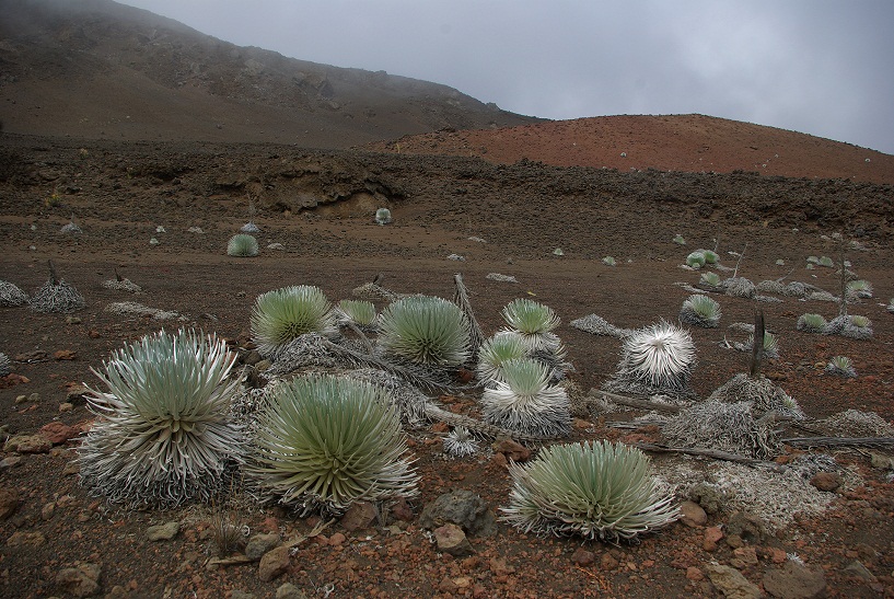 Haleakala aeolian desert