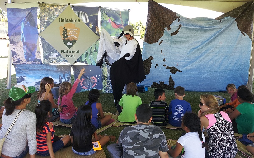 Guided activities